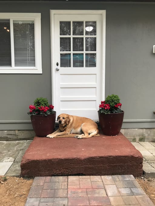 Pet-friendly with big fenced backyard.