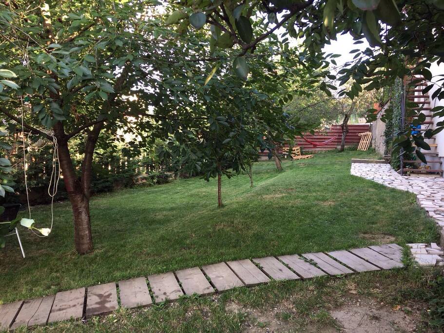 The garden at the property.