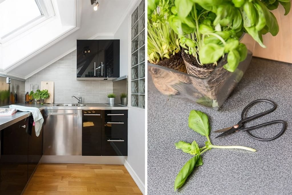 Kitchen corner with all necessities