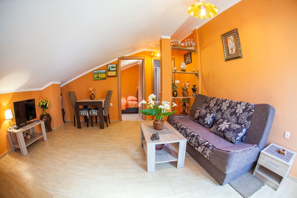 гостиная# dnevni borovak # salle de séjour # living room