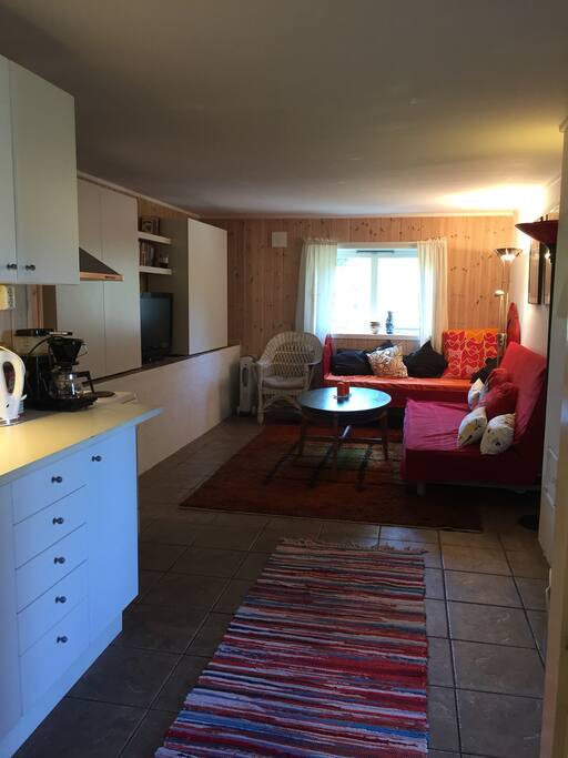 Stue med dobbel sovesofa og en kort enkeltseng (190cm). TV, trådløs WiFi.
Living rom with kitchen, doble sofabed and one short single bed (190cm). TV, wireless WiFi.