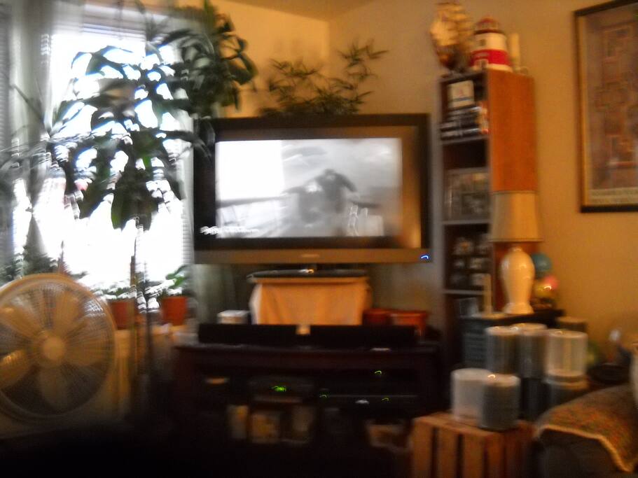 this is livingroom of the apt with 46'' flat screen tv