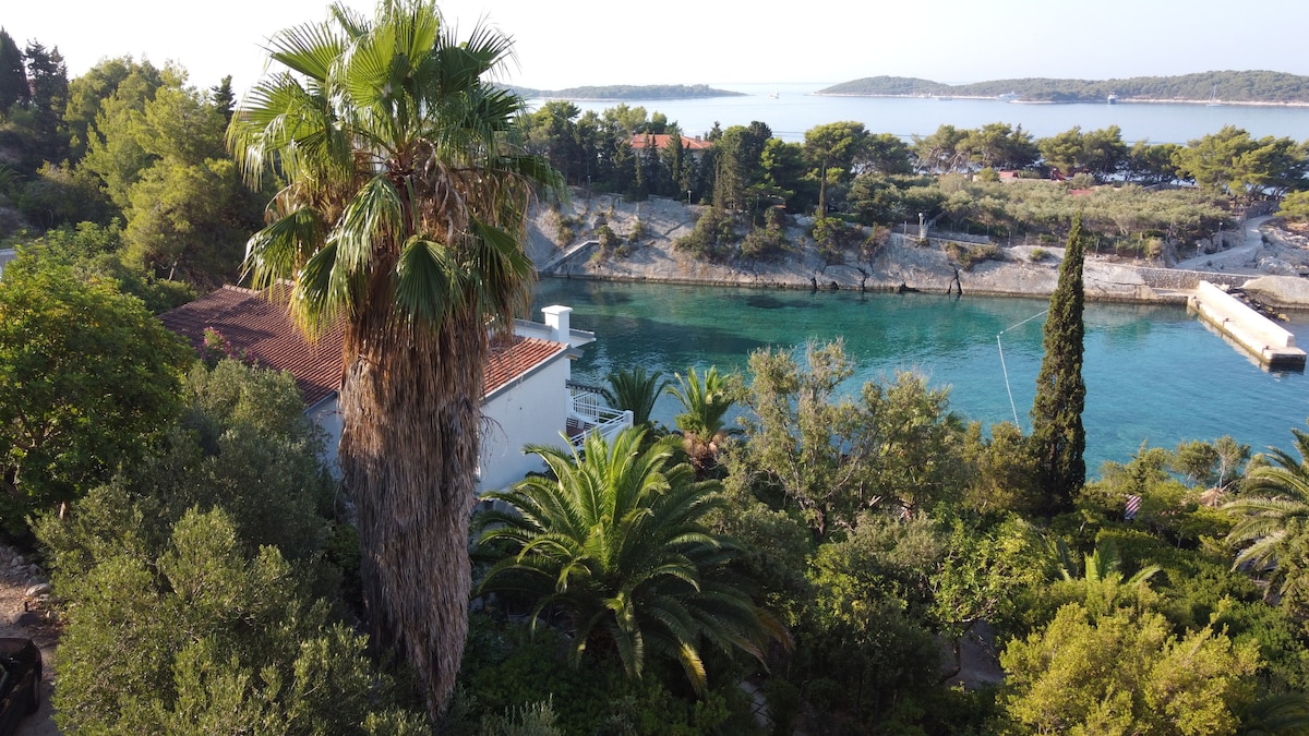A panoramic view features lush Mediterranean greenery, including tall palm trees and various shrubs. The serene turquoise water contrasts with the rocky shoreline and distant trees, creating a peaceful coastal atmosphere.