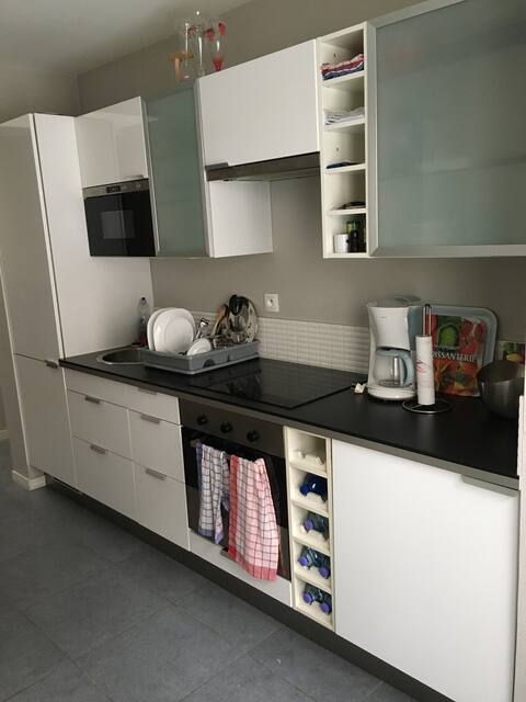 Type1 à 100m du Métro et Vlille