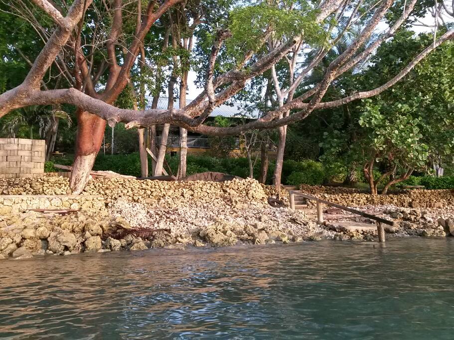 El Guacamayal