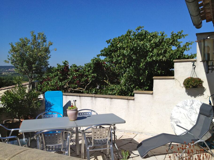 la terrasse plein sud arborée