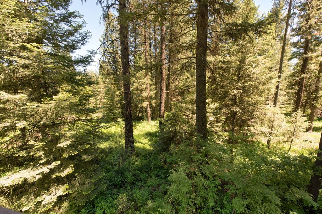 View from north facing deck.