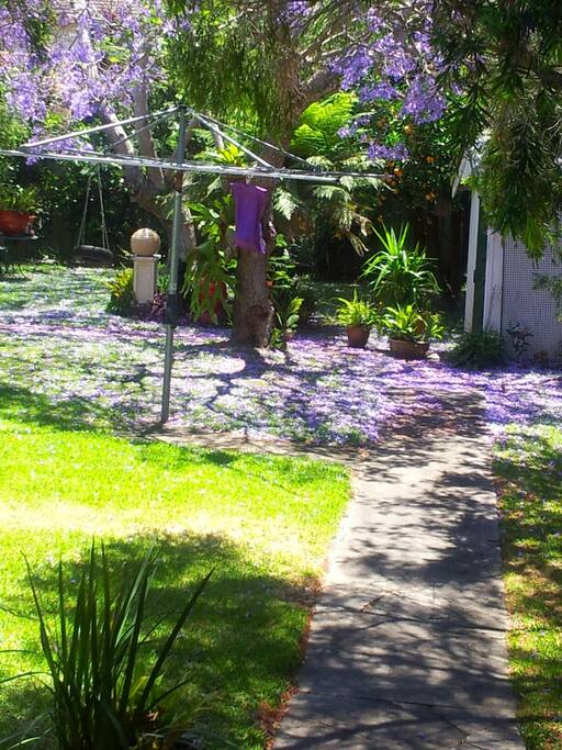 Just another picture of a pretty get away in lovely Wollongong