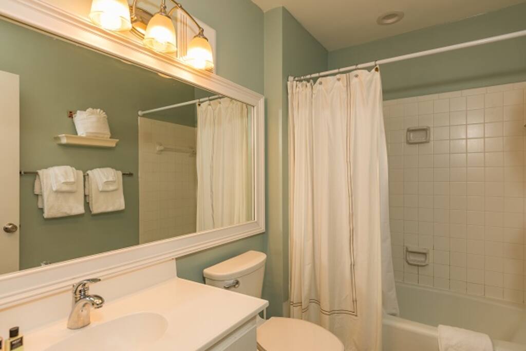 Master Bath