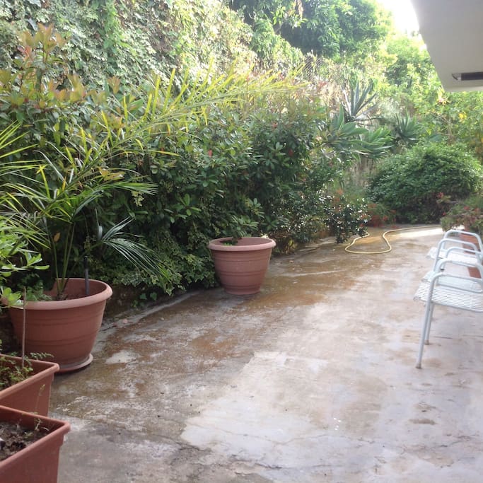 Uno scorcio del giardino.