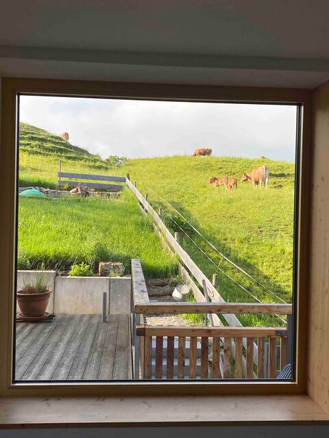 SOUTHWARD 2.0
slope house with panoramic views