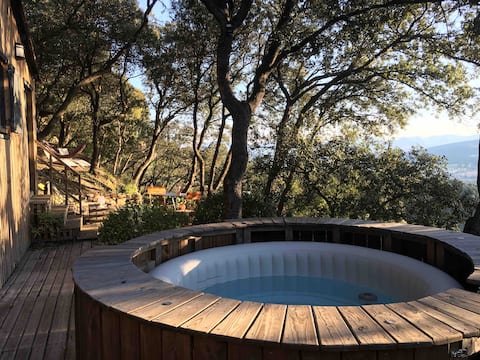 Getaway facing Ventoux with hot tub
