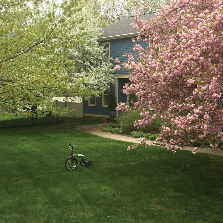 Home in Prospect · ★4.99 · 1 bedroom · 2 beds · 1 shared bath