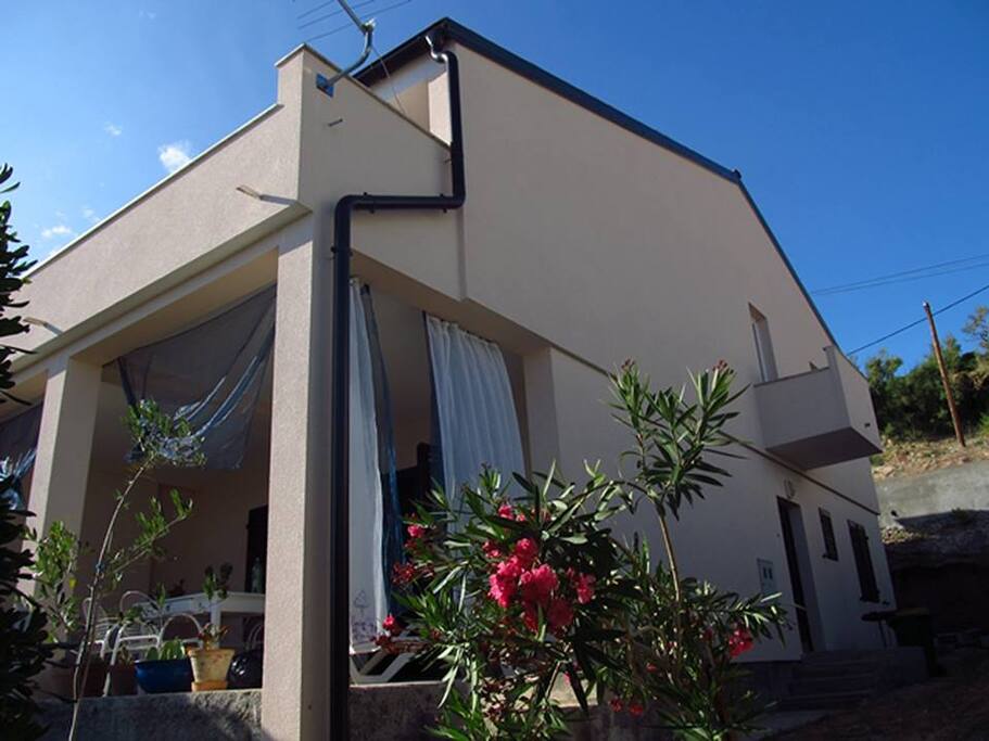 The house