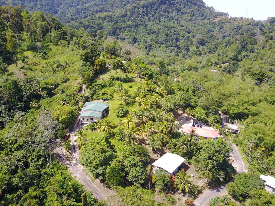 Green Roof is property