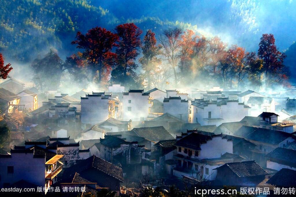 婺源石城红枫