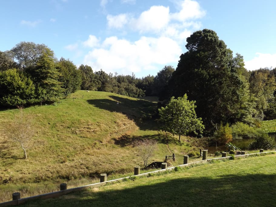 See the trees - the Puketoki Scenic Reserve borders our property