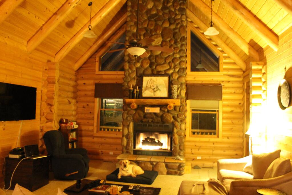 Cute lab does not come with cabin :)