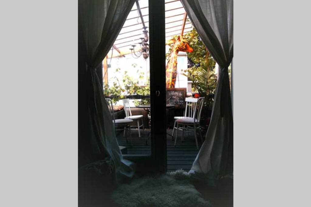 French doors from the inside to the back porch