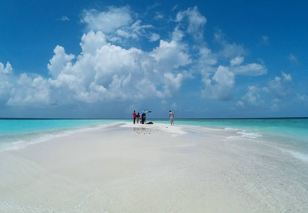 Sandbank Tour