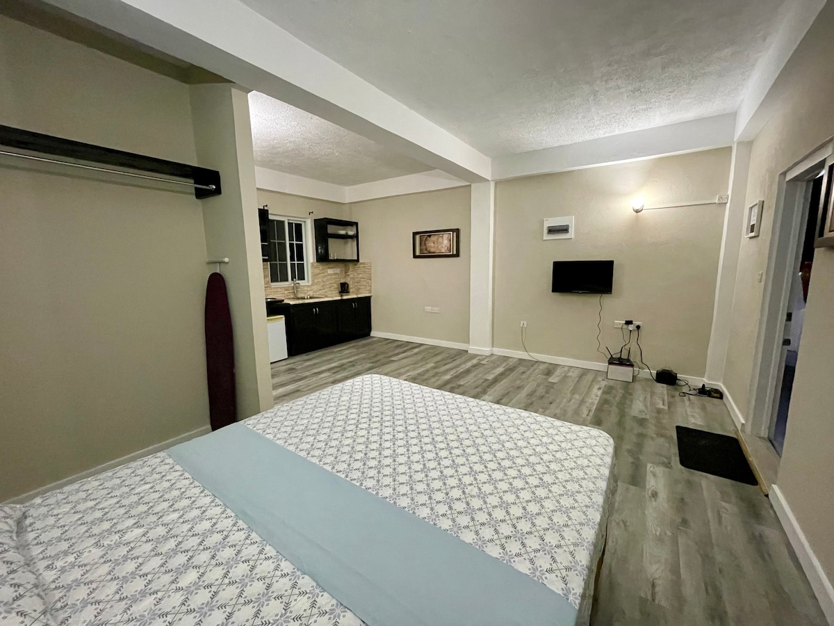 A spacious room features a comfortable bed with a light patterned bedspread. A kitchenette area is visible in the background, equipped with cabinets and an eye-level refrigerator. A small television stands against the wall, and natural light enters through a nearby window.
