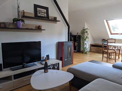 Nice apartement located under the castle