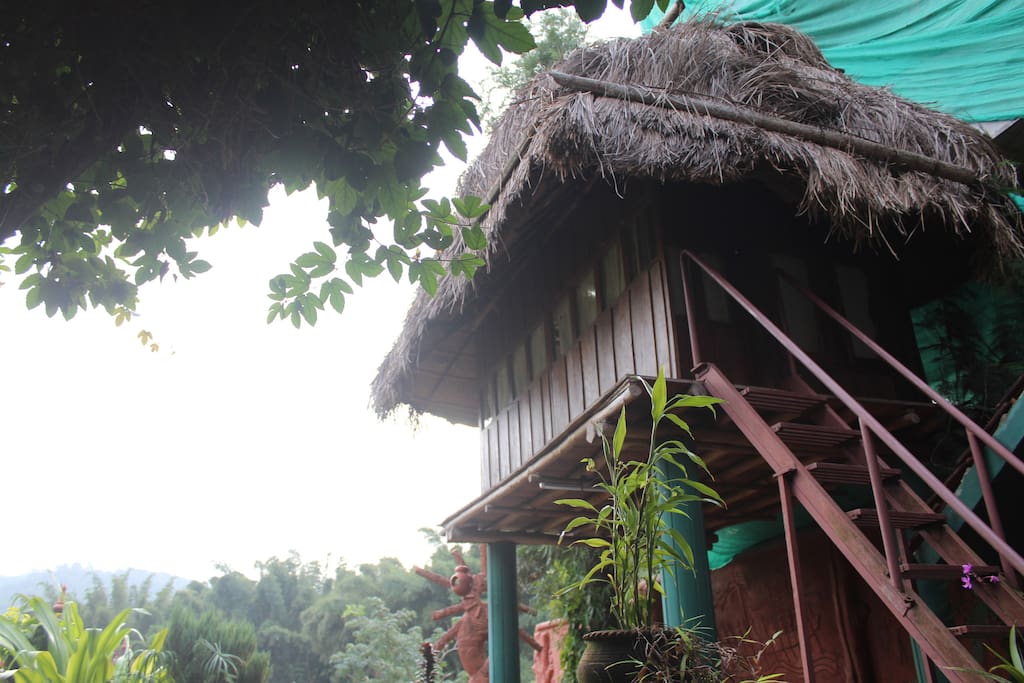 The treehouse -
Evening view!