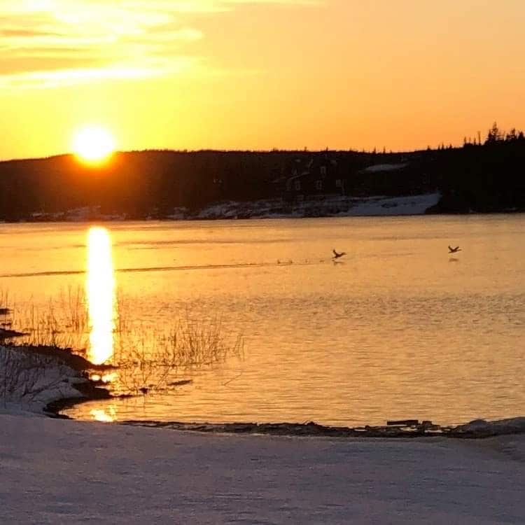 A serene sunset is reflected on the calm water, with golden hues permeating the sky. Silhouettes of ducks can be seen gliding across the lake, creating a tranquil scene. The shoreline is bordered by shrubs and gentle waves, enhancing the quiet atmosphere of the retreat.