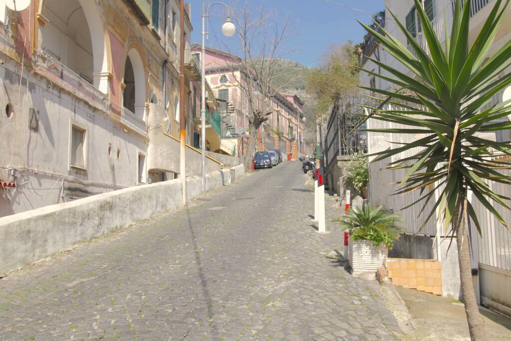 Street view from outside front door
