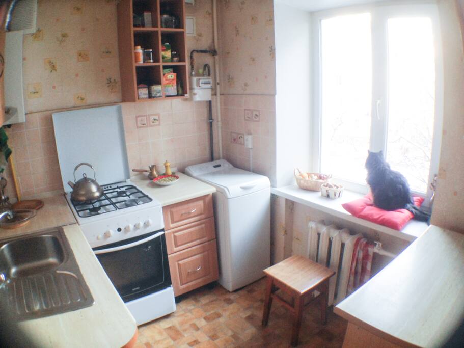 kitchen is small and cosy