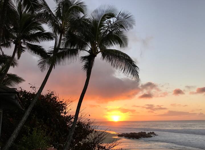 Sharks Cove Holiday Rentals & Homes Pupukea, HI Airbnb