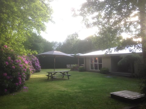 Comfortable house & spacious garden by beach and sea