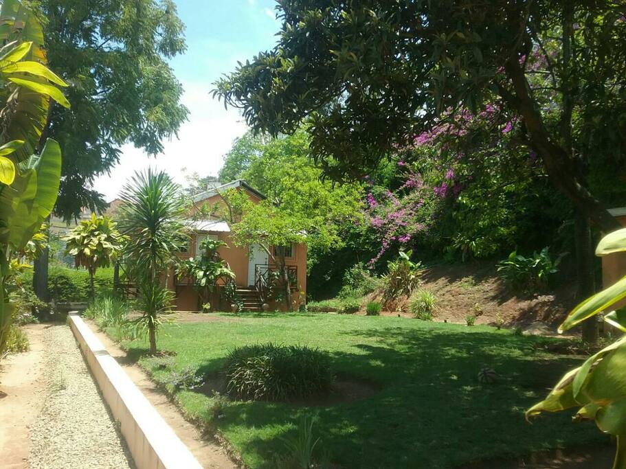 garden & tiny house/jardin et petite maison au fond du jardin