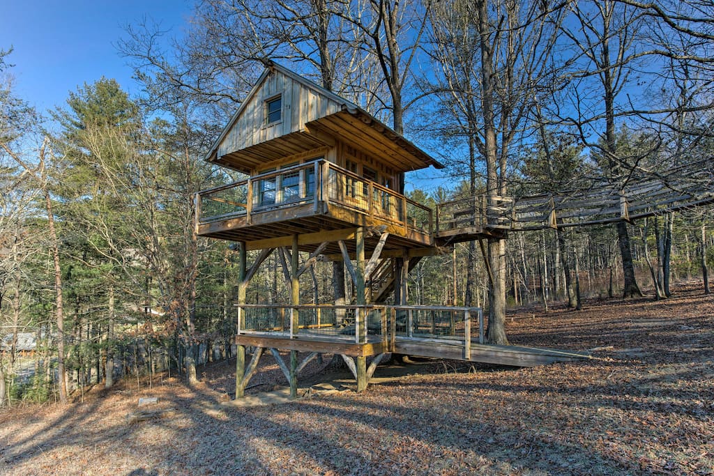 Bunker up in the shared tree house or take the bridge down to trek along the rivers and streams of the forest.