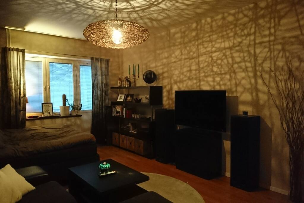 Livingroom/bedroom