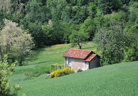 The Nest - Cascina Adami