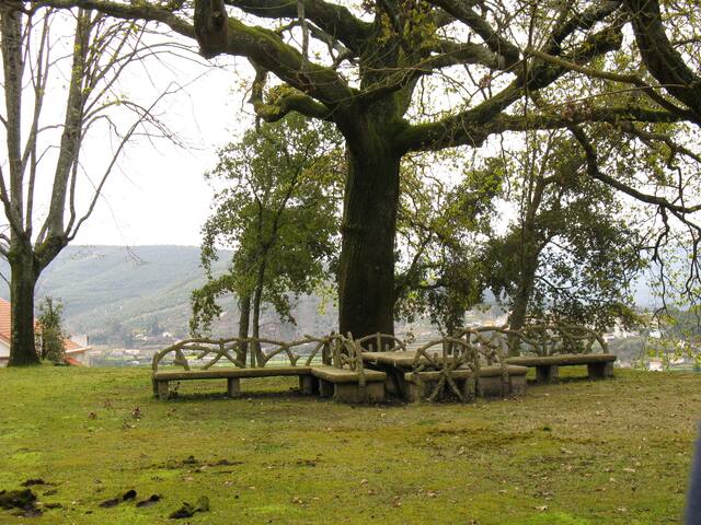 Vila Guiomar – Casa da Eira gallery image 2