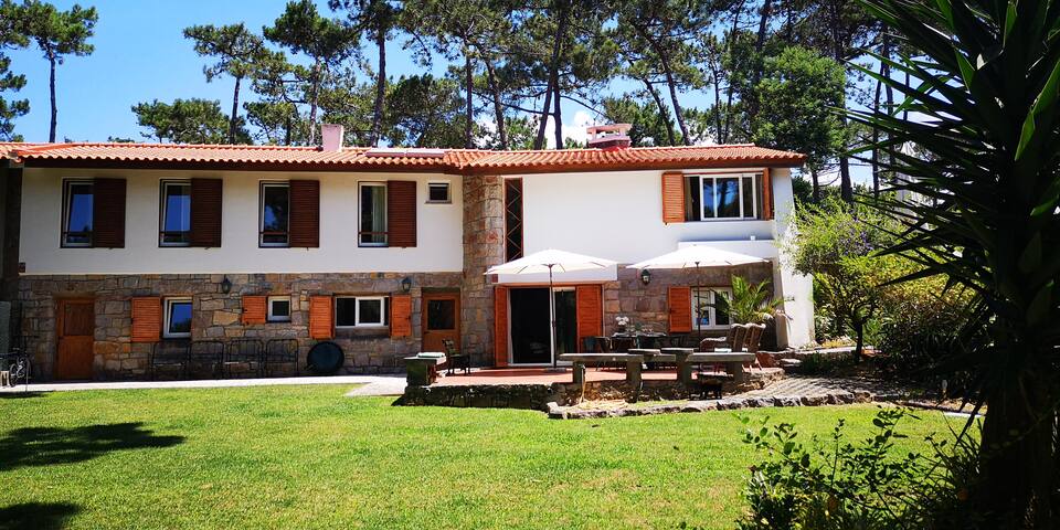 Casa com vista sobre o pinhal