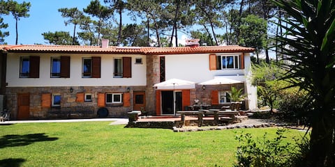 Top performing Airbnb: House overlooking the pine forest in Colares