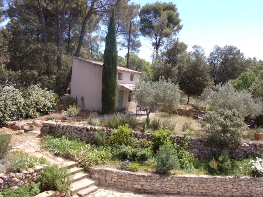 Le jardin privatif devant le cabanon.