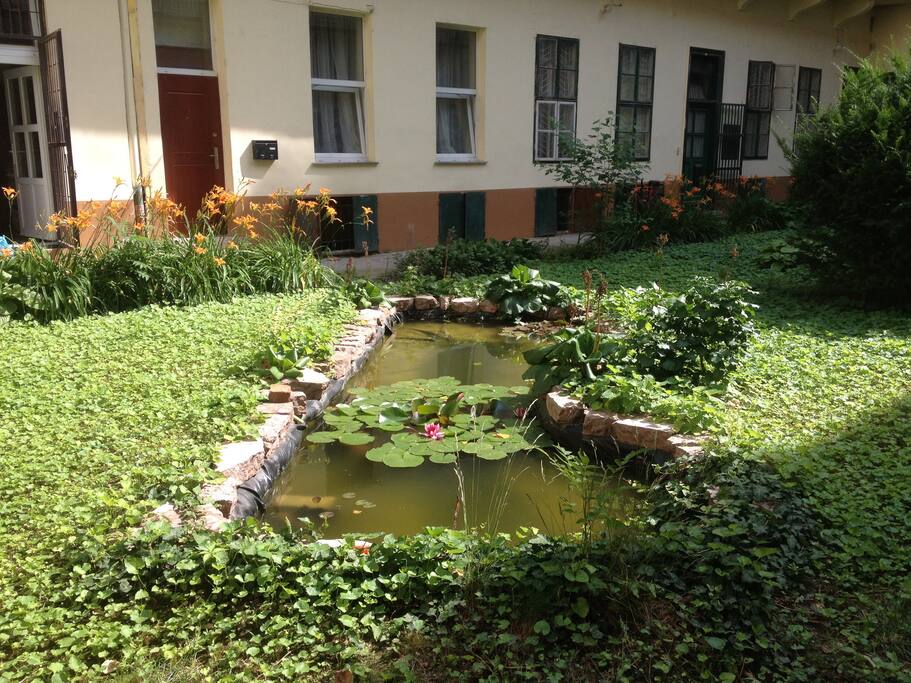 Small lake with golden fishes and flowers