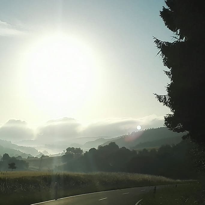 Talblick sehr Waldreich