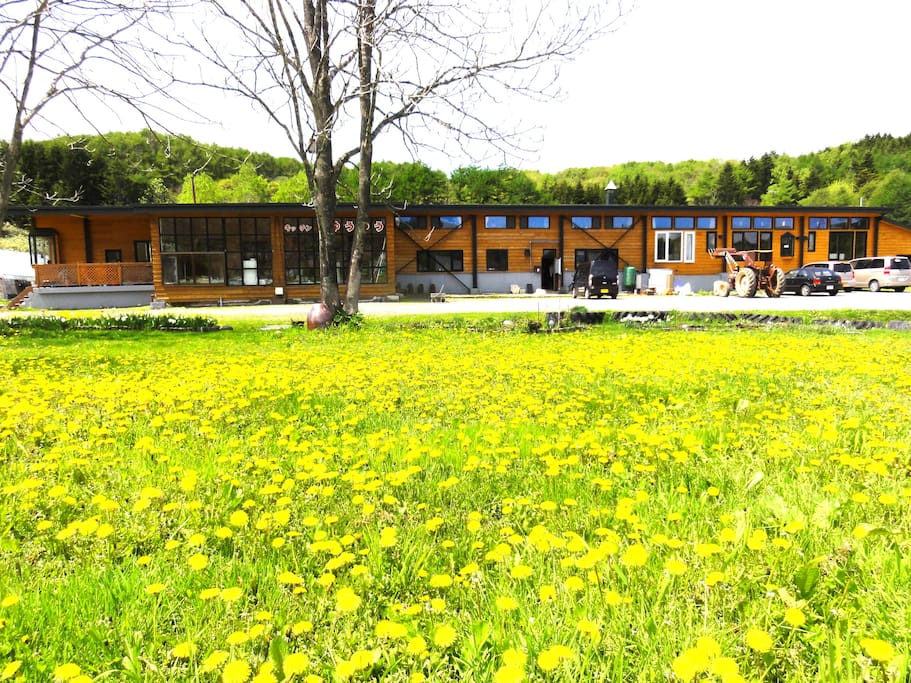 【Main House】Front desk, Guest house, Laundry, Farm restaurant, Shops, Lounge.