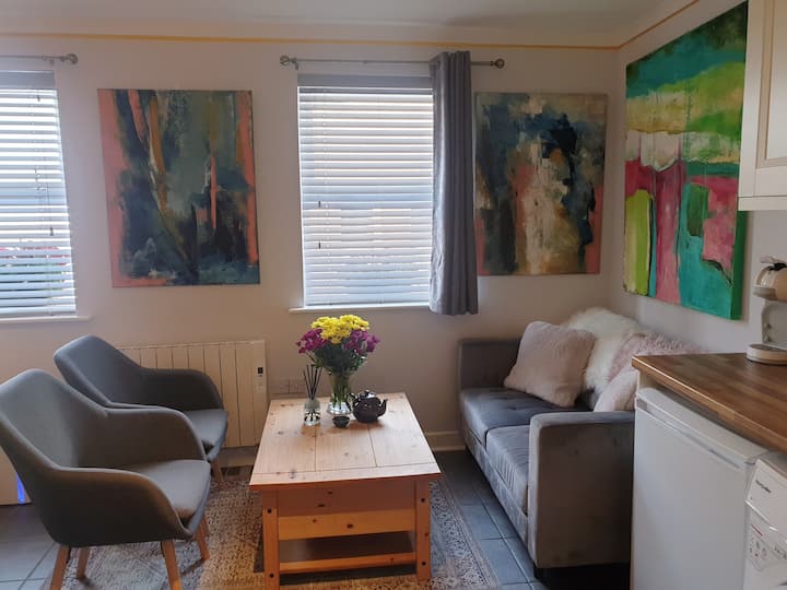 "The Art House 1" Galway, Woodquay - Galway