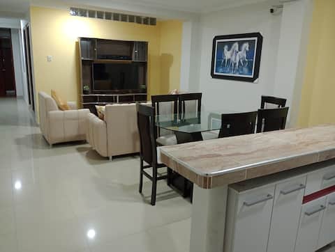 Beautiful apartment with garage included