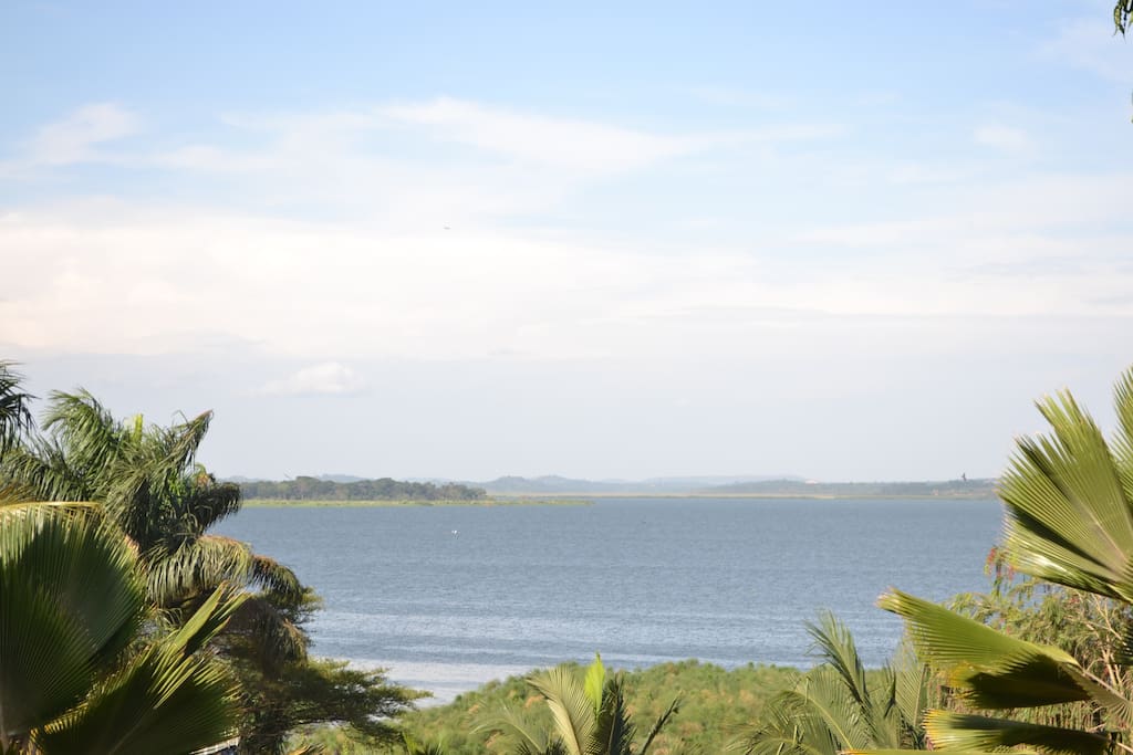 Lake view