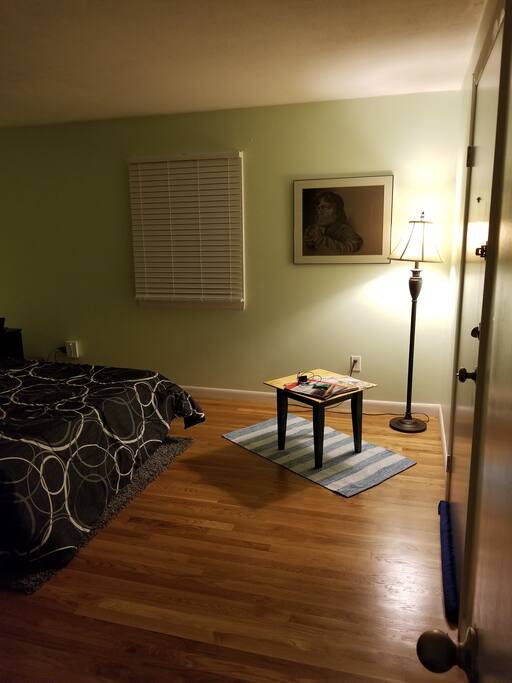 Bedroom entrance (showing backdoor entrance door)