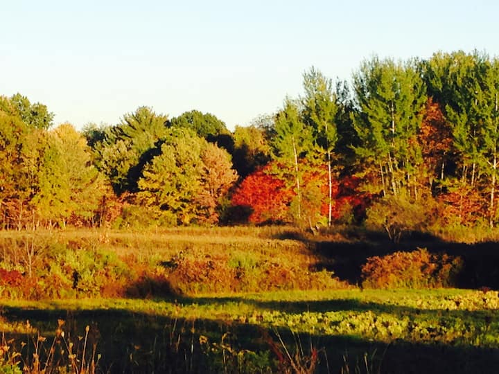 Lovely country house; stunning view Farm stays for Rent in Ulster