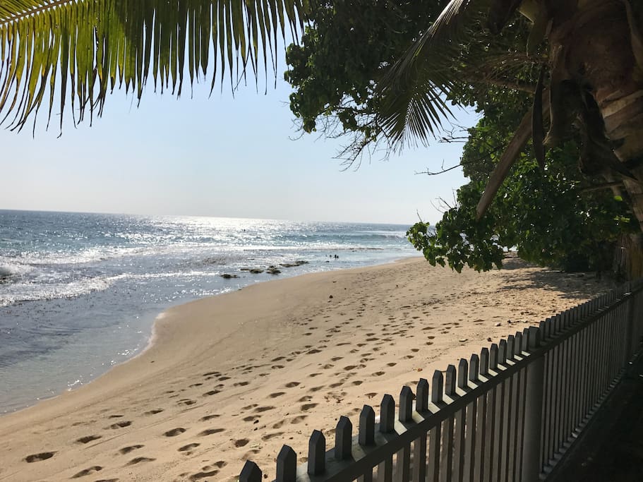 Our Beach! Talpe
