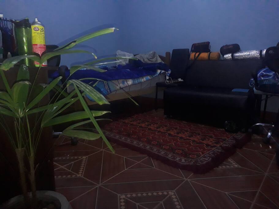un poco de naturaleza en mi pequeño espacio